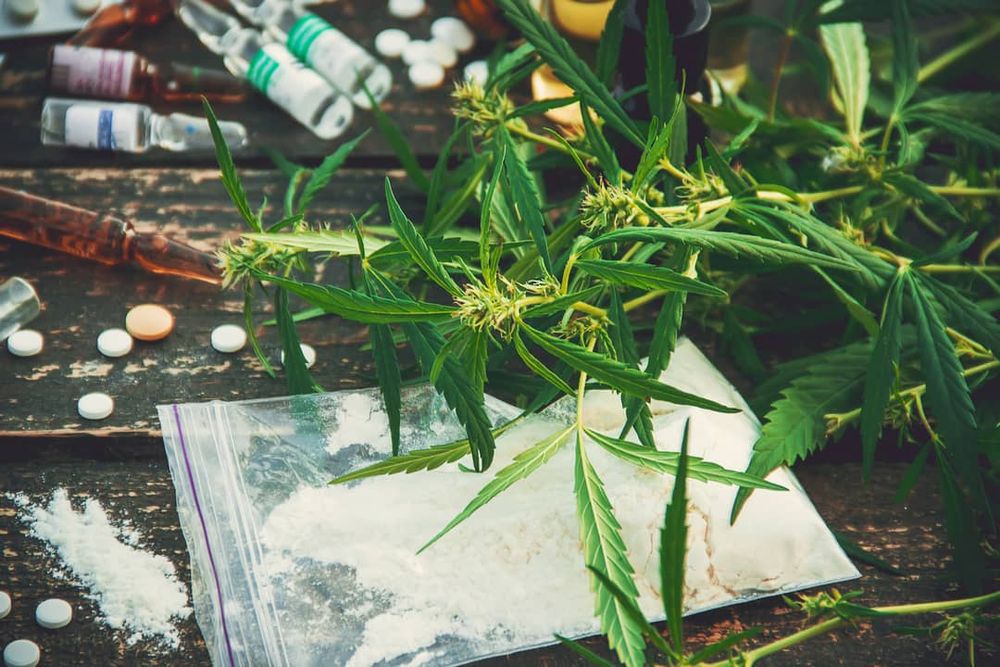 It’s time to decriminalise personal drug use. Here’s why post image