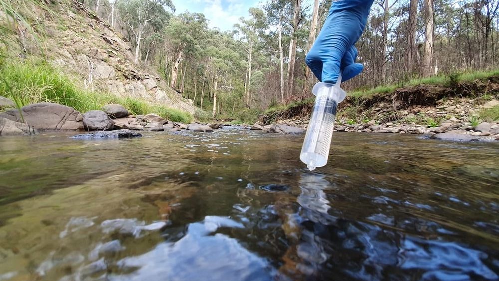 eDNA sampling: Assessing the state of species in bushfire-affected areas post image