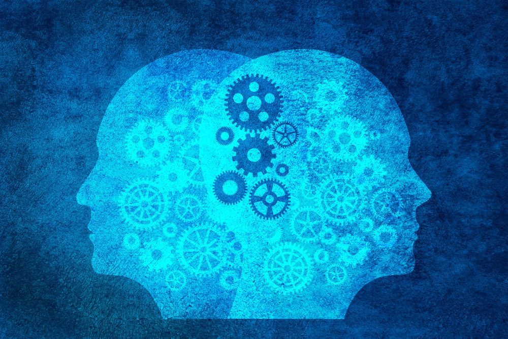 How does consciousness work? Duelling scientists tested two big theories but found no winner post image