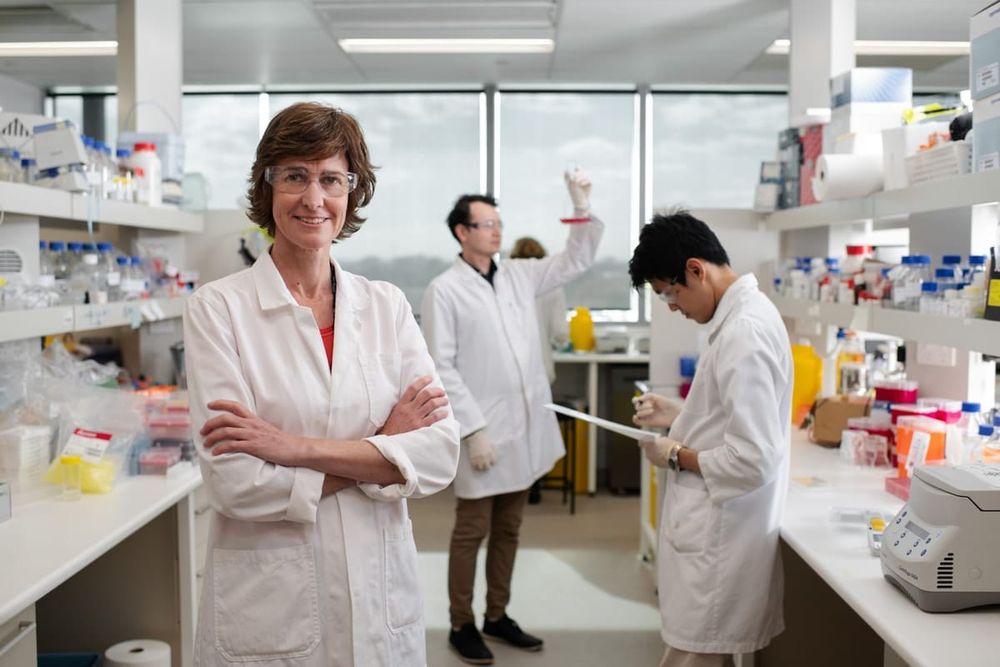 A breakthrough to make it beta: Blocking out stress to treat cancer post image