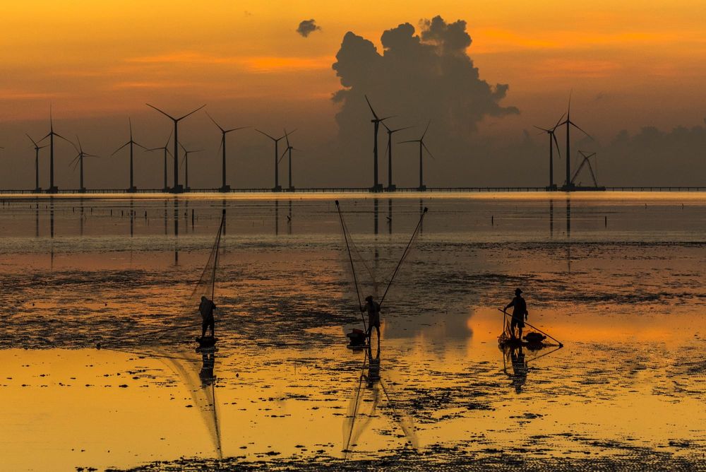 Green economy summit: How can Australia get more from its relationship with Vietnam? post image