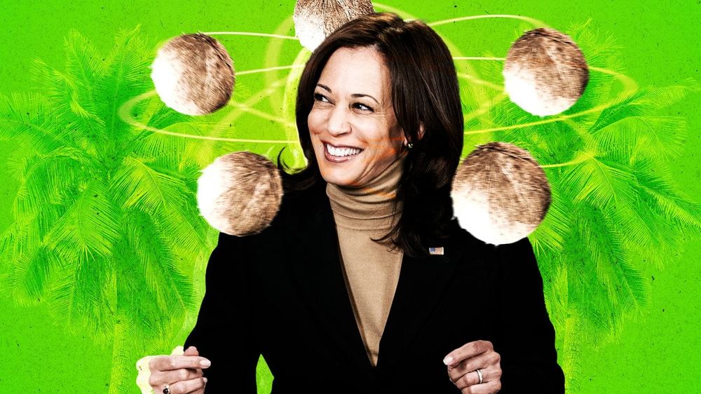 US election: How Kamala Harris is re-energising young voters post image
