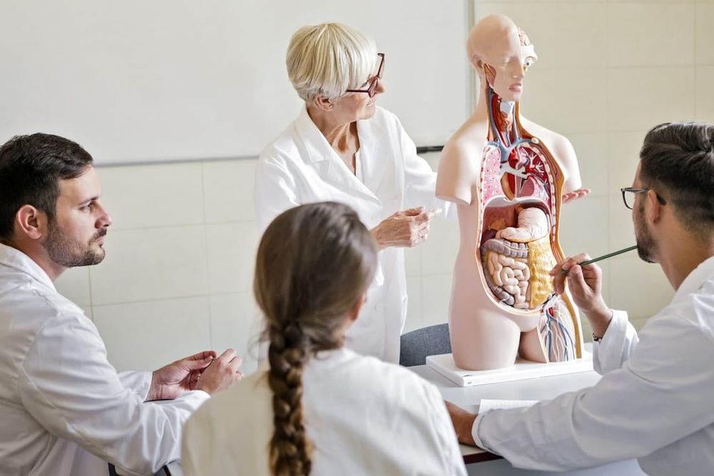 Learning the value of face-to-face STEMM teaching during COVID-19 post image