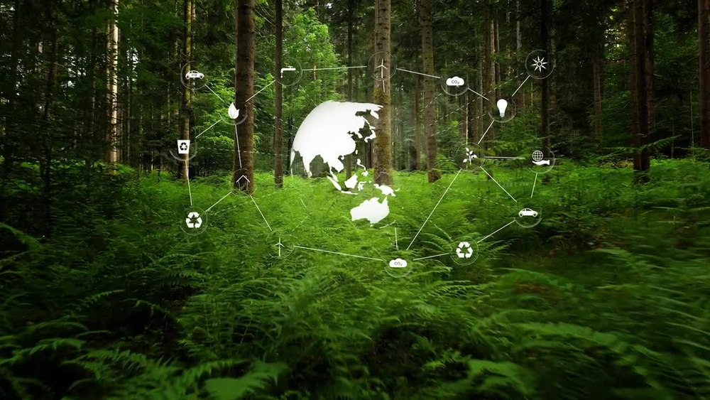 A nature positive Australia: What does it mean, why does it matter, and what will it take? post image