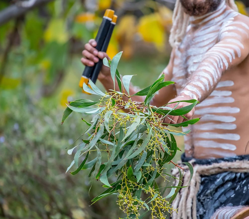 Closing the Gap: A call for Indigenous-led solutions and redefining success post image