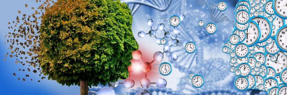 Is greenery the secret to slowing the biological ageing process? post image