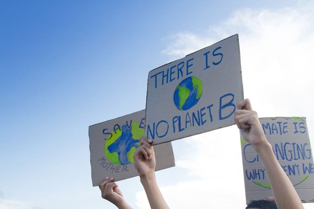 Student climate movement strike: In a crisis, what are the limits of ‘student voice’? post image
