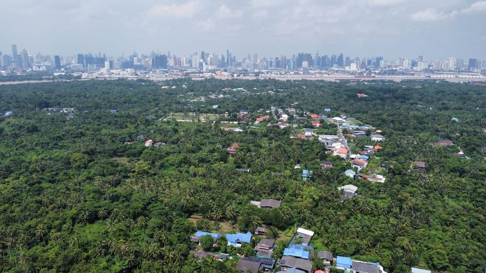 COP29: Southeast Asia needs serious money to get to net zero post image