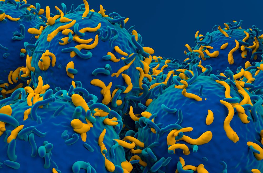 T cell breakthrough a step towards personalised medicine to prevent disease post image