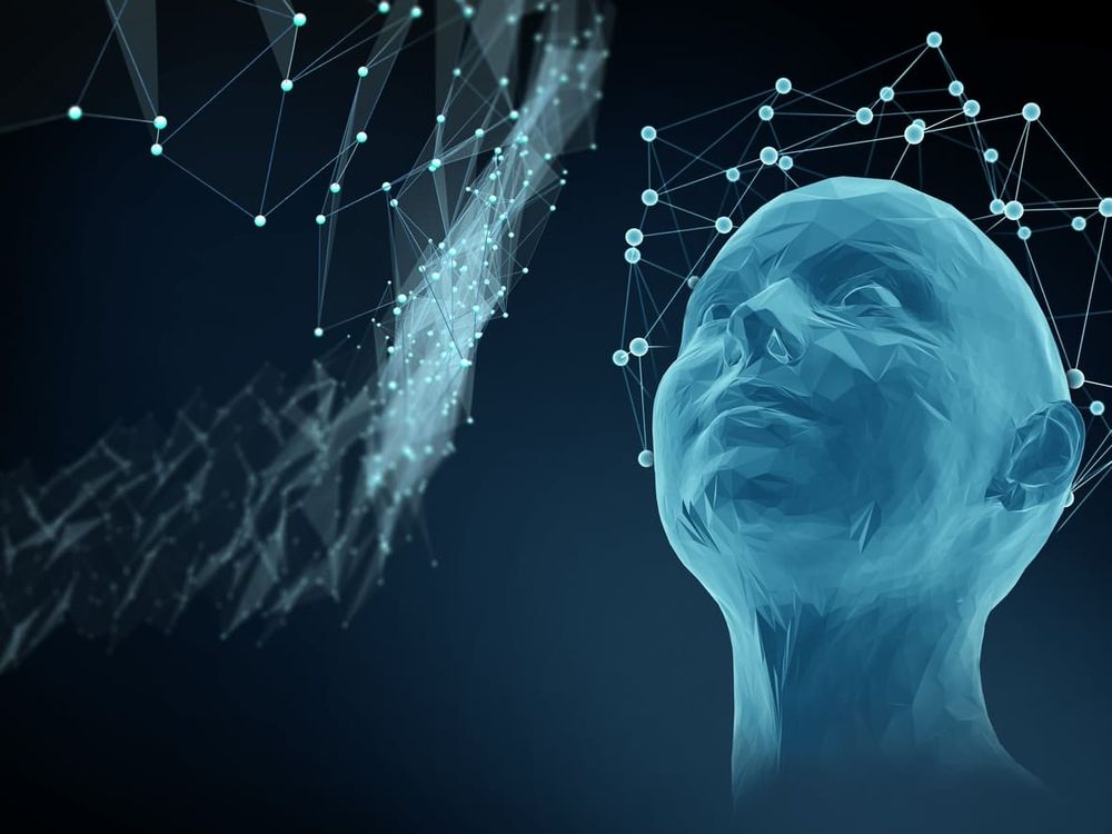 Mind matters: A new approach to consciousness and contemplation post image