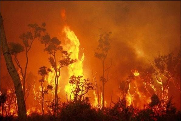 Scott Morrison's biggest failure in the bushfire crisis: an inability to deliver collective action post image