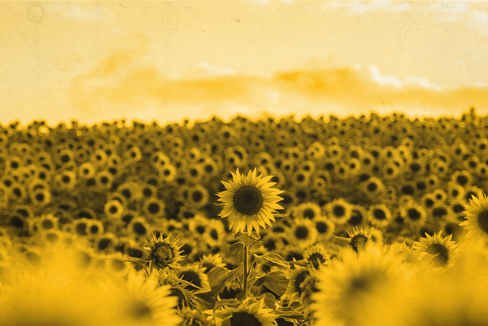 ‘What Happens Next?’: How Can We Conquer Climate Anxiety? post image