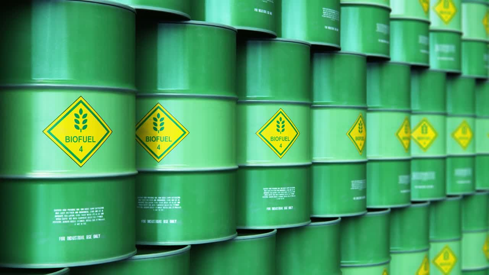 COP29: Accelerating fossil fuel phase-out, boosting biofuel commitments post image