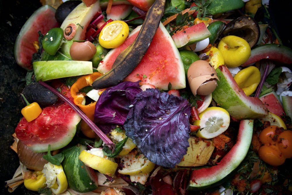 Want to reduce your food waste at home? Here are the six best evidence-based ways to do it post image