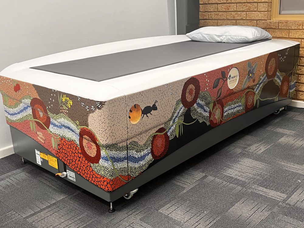 Art meets science: Collaboration breaking the barriers in Indigenous bone health post image