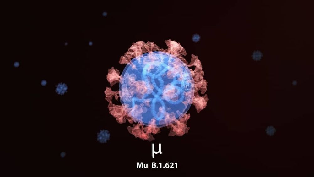 New Mu rising: Preparing for the latest COVID-19 variant of interest post image