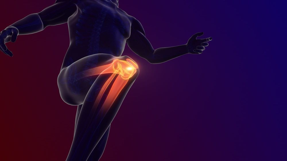 Weight and knee: Surveying the research and treatments of osteoarthritis post image