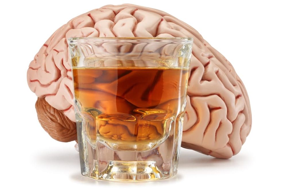 The protein with the potential to rewire the alcohol-addicted brain post image