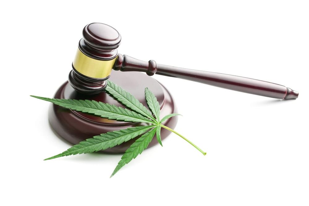 Black lives won’t matter without major drug law reform post image