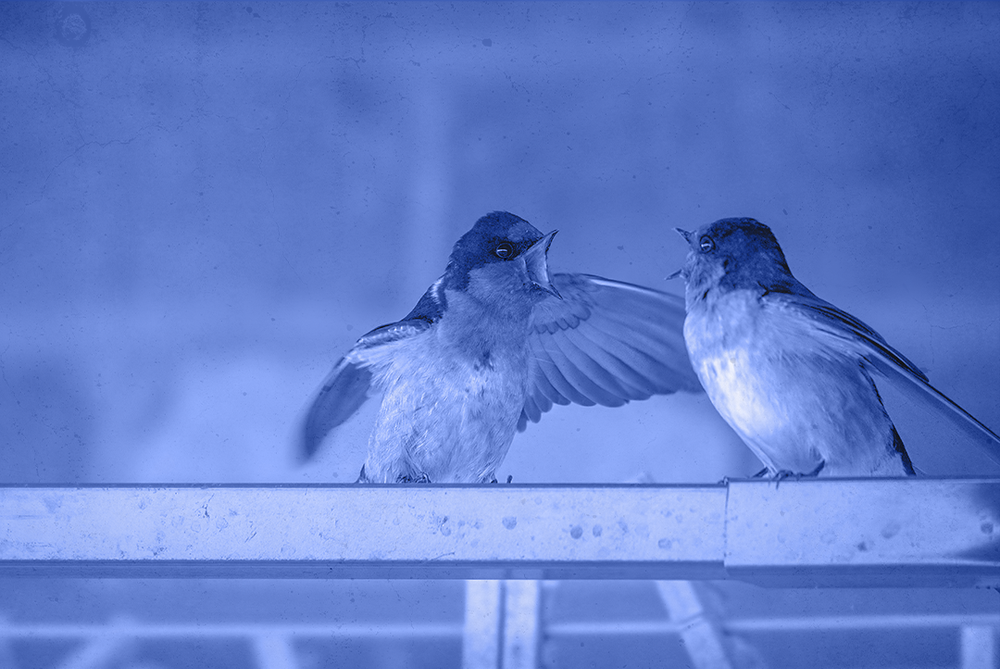 ‘What Happens Next?’: Are We Getting More Rude? post image