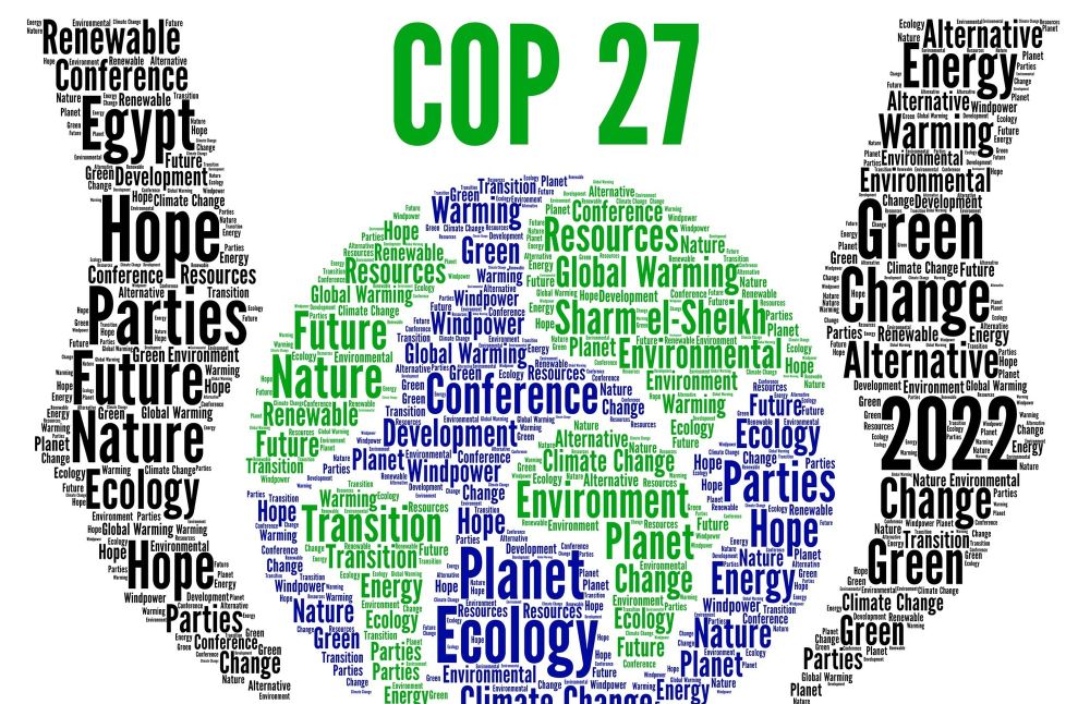 COP27: Reigniting youth passion for greater climate change action post image