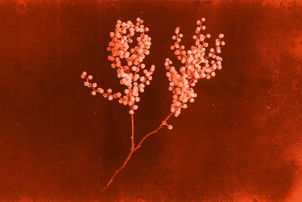 ‘What Happens Next?’: Can We Reinvent the Justice System? post image