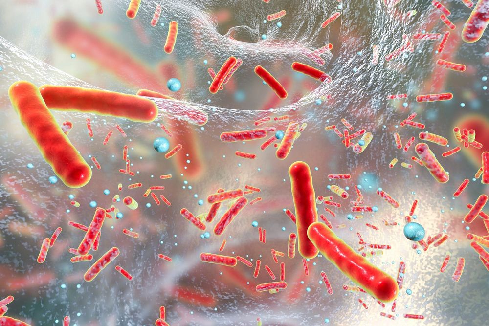 The rise and fall of antibiotics. What would a post-antibiotic world look like? post image