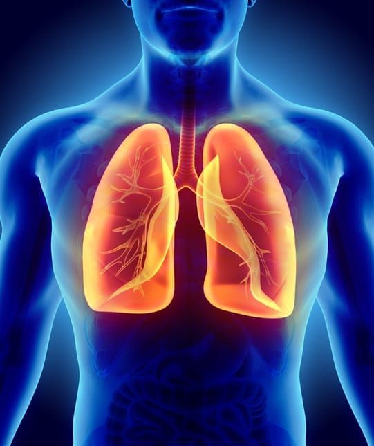 Phase contrast upping the ante on conventional X-ray imaging post image