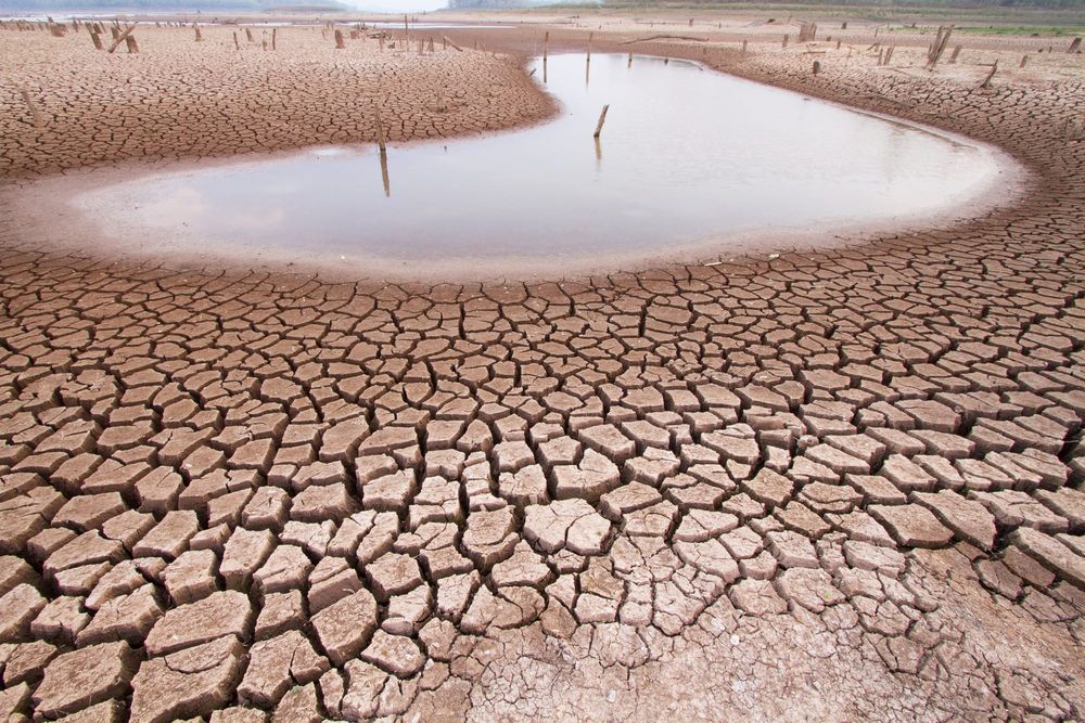 It's 2050: Melbourne has hit Day Zero and run out of water post image