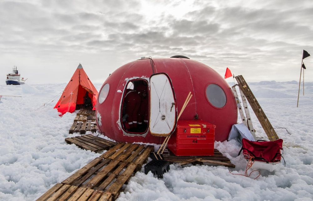 The toughest workplace in the world post image