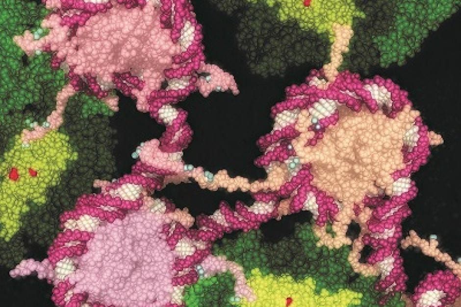 The drug that can put some cancer cells to sleep post image