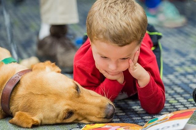 Therapy dogs can help reduce student stress, anxiety and improve school attendance post image