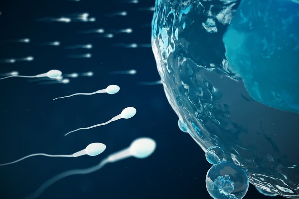 Male fertility: The biological clock ticks for men, too, and affects IVF success post image