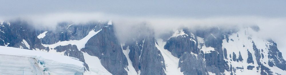 Delivering Impact - In Brief post image