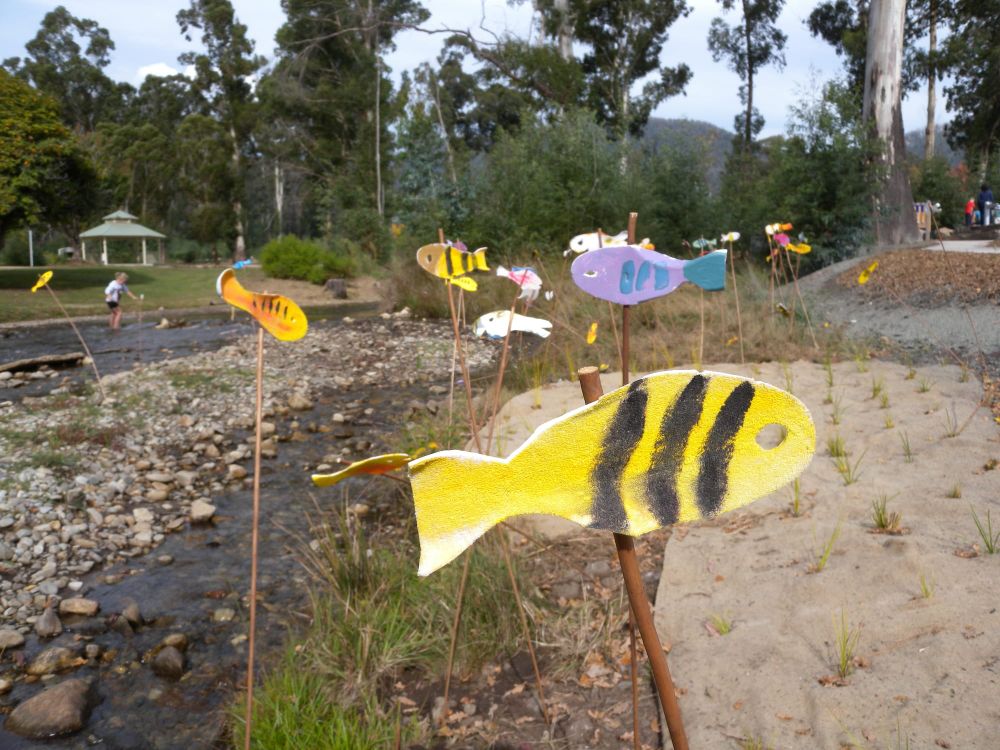 Bushfire recovery as a shared human-nature journey post image