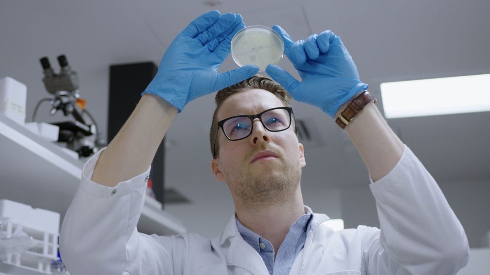 Beating the superbugs post image