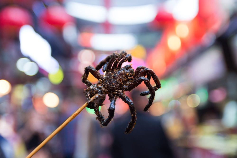Disgusting or delicious? The case for rethinking food choices post image