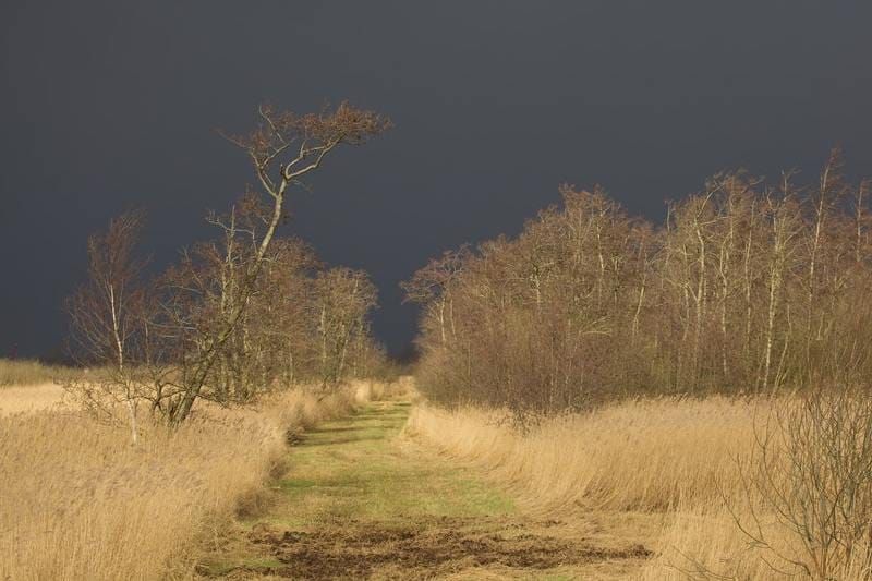 Thunderstorm asthma: who’s at risk, and how to manage it post image