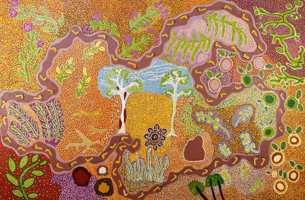 The art of healing: five medicinal plants used by Aboriginal Australians post image