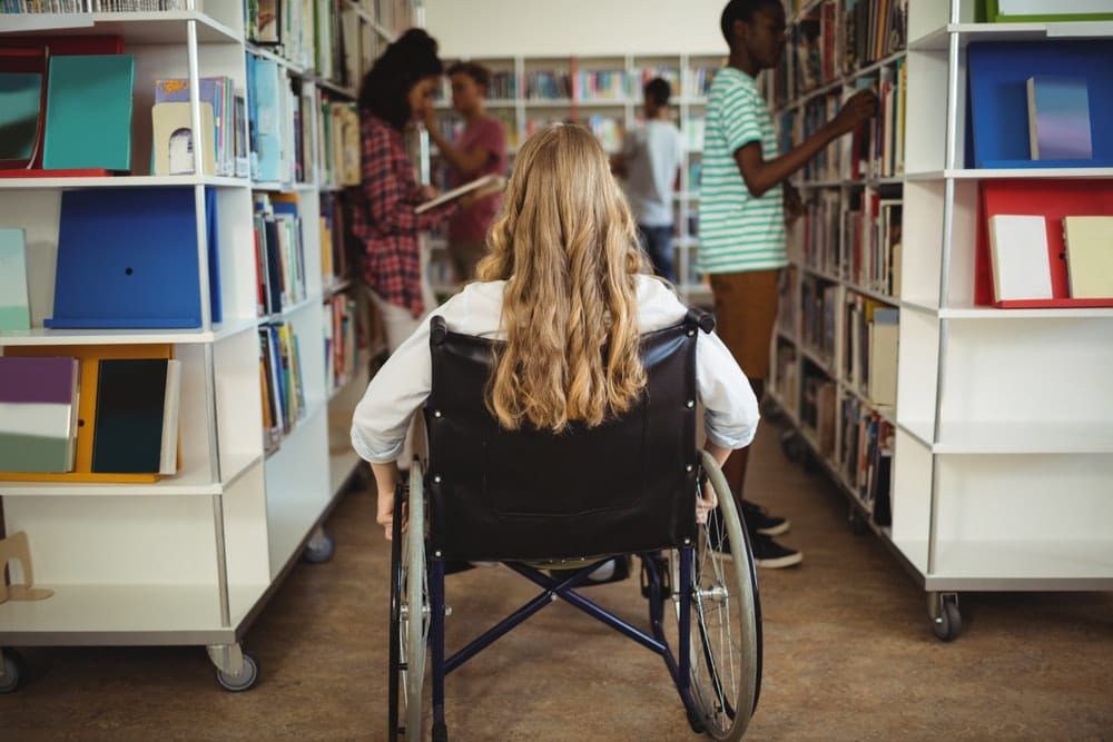 A matter of trust: the checks and balances schools must have to ensure fair funding for disability post image