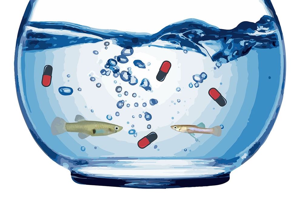 Drugs in our waterways, the bugs and beyond post image