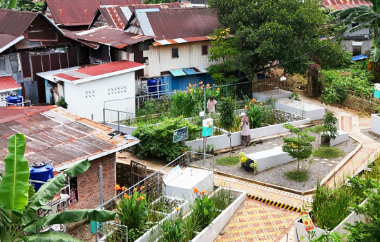 Rising to the challenge of revitalising informal settlements post image