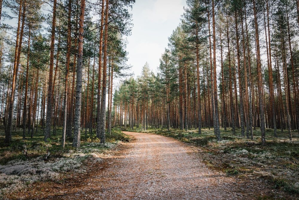 Far-right extremists are setting up rural enclaves around the world post image