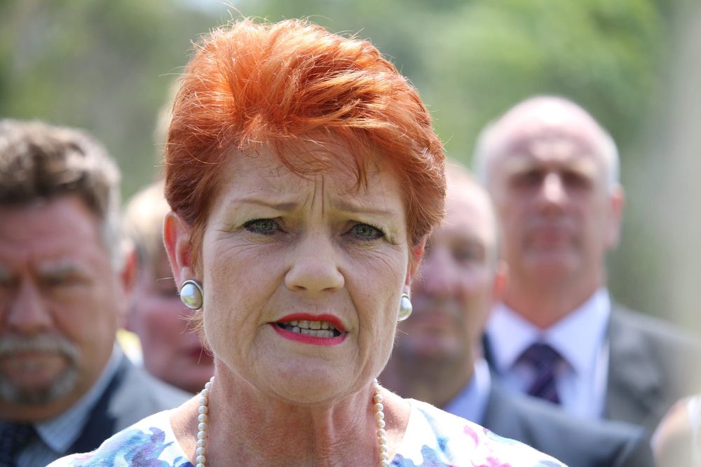 From hibernation to powerhouse? One Nation’s re-emergence in Australian politics post image