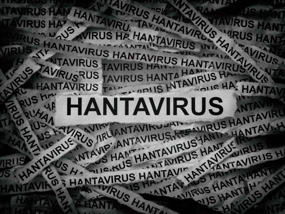 MV Hondius Andes virus outbreak a warning shot for the next pandemic era post image