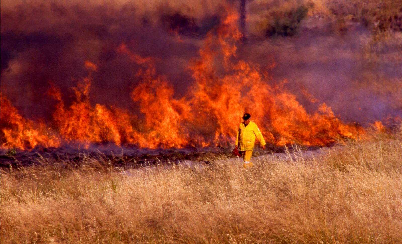 It’s been one year since Australia assessed its national climate risk. But have we listened? post image