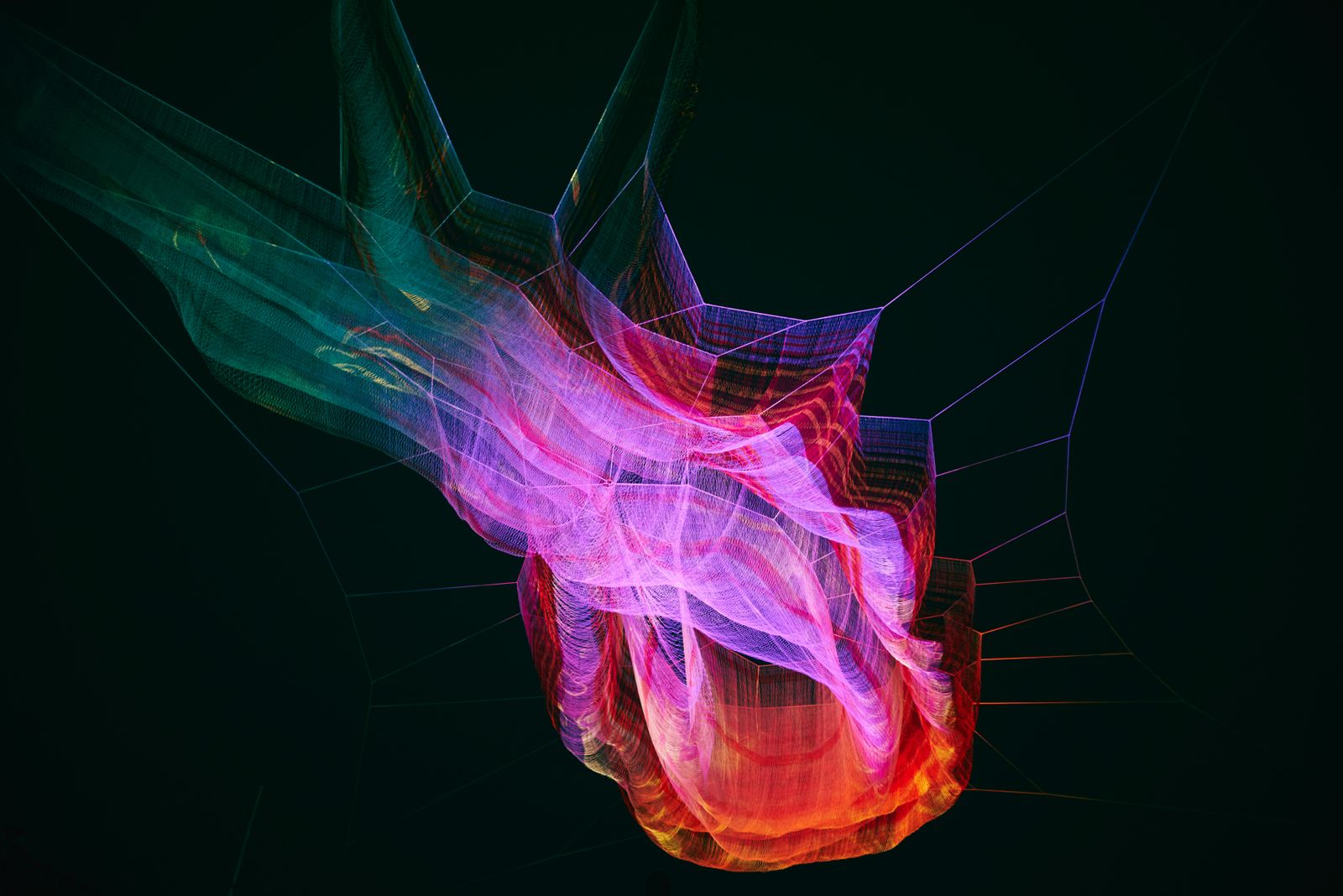 Libby Callaway cover image