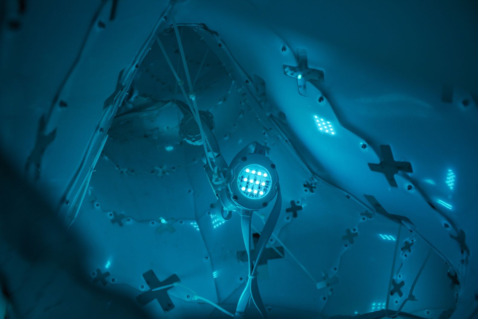 Robert Sparrow cover image