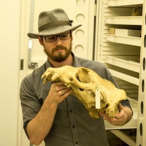 David Hocking profile image
