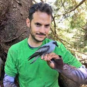 Luke Halpin profile image